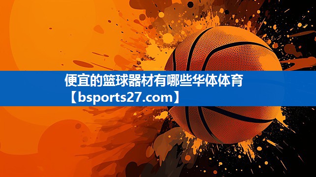 便宜的篮球器材有哪些华体体育