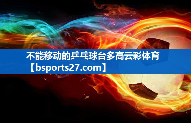 不能移动的乒乓球台多高云彩体育